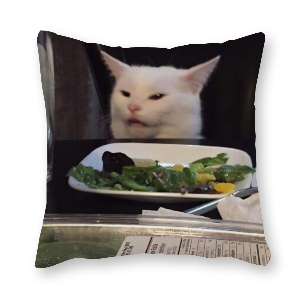 Woman Yelling At Cat Single-Sided Print Canvas Pillowcase Set of 2