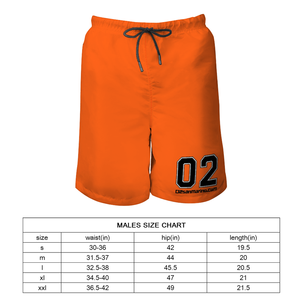 02 Men's Quick Dry Swim Trunks Beach Shorts