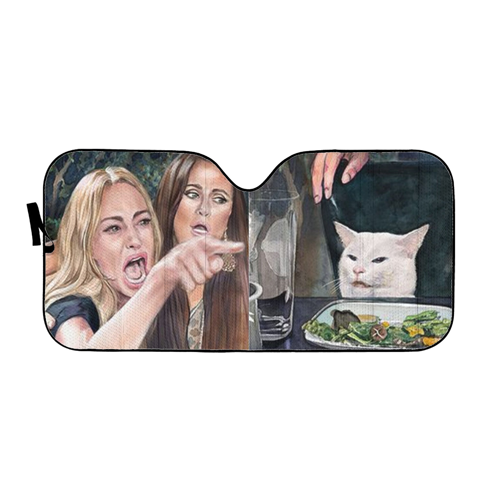 Woman Yelling At Cat Paint Art Auto Sun Shade