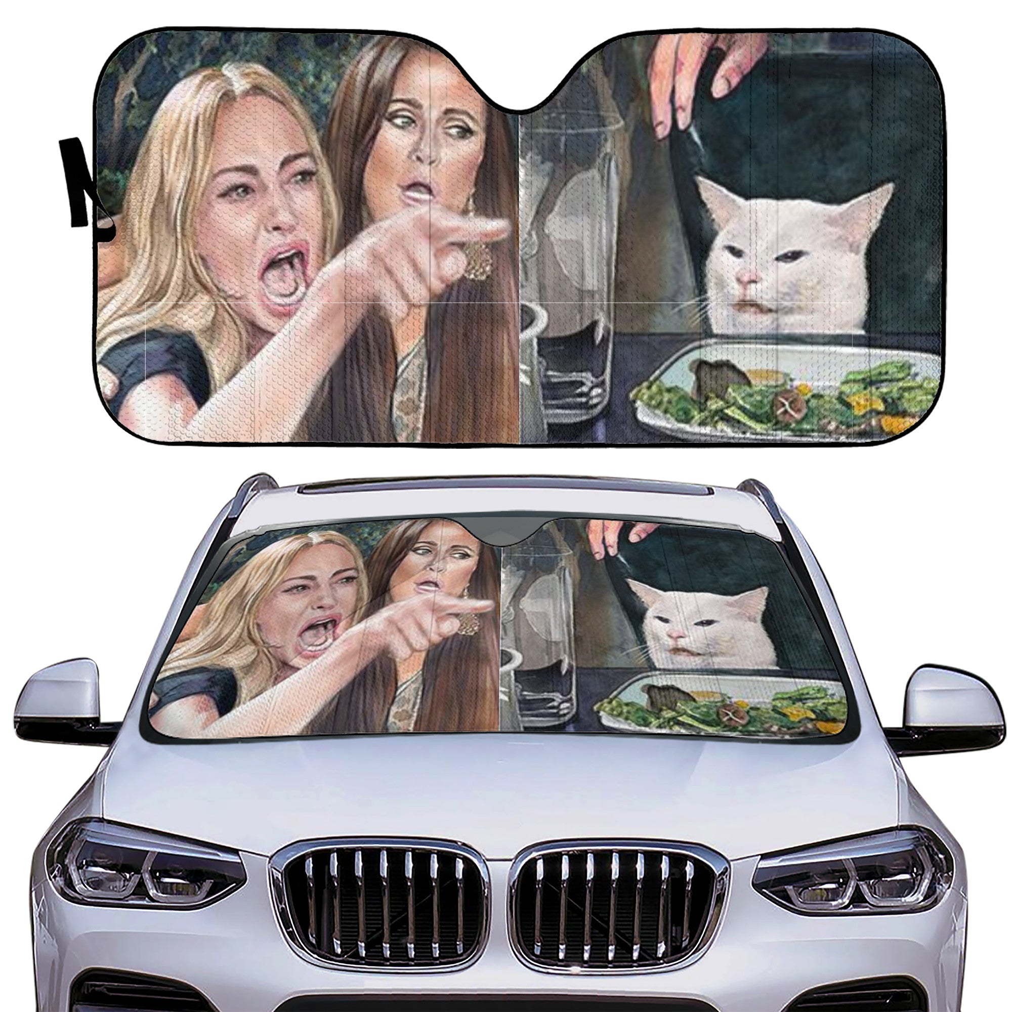 Woman Yelling At Cat Paint Art Auto Sun Shade